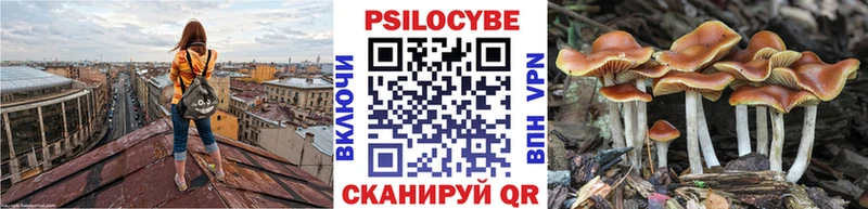 дарнет шоп  Называевск  Псилоцибиновые грибы мухоморы 